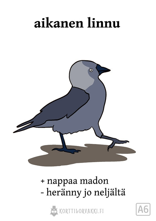 aikanen linnu