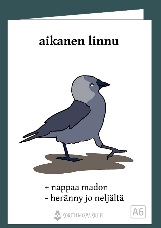 aikanen linnu