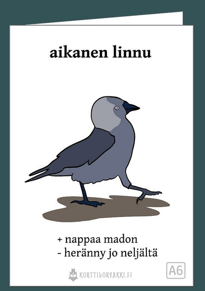 aikanen linnu