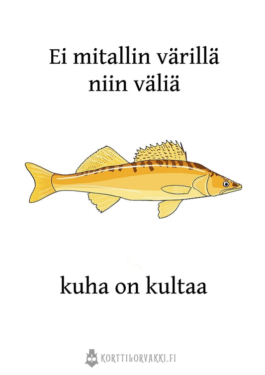kuha on kultaa