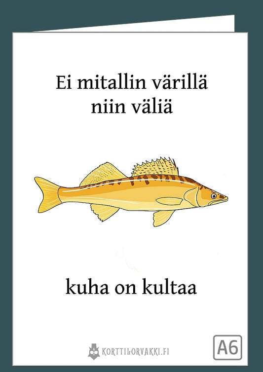 kuha on kultaa