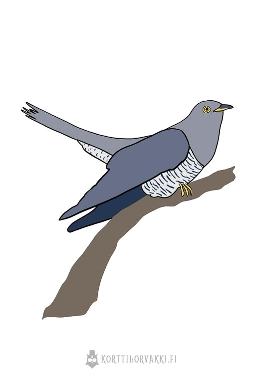 kukkuu linnu