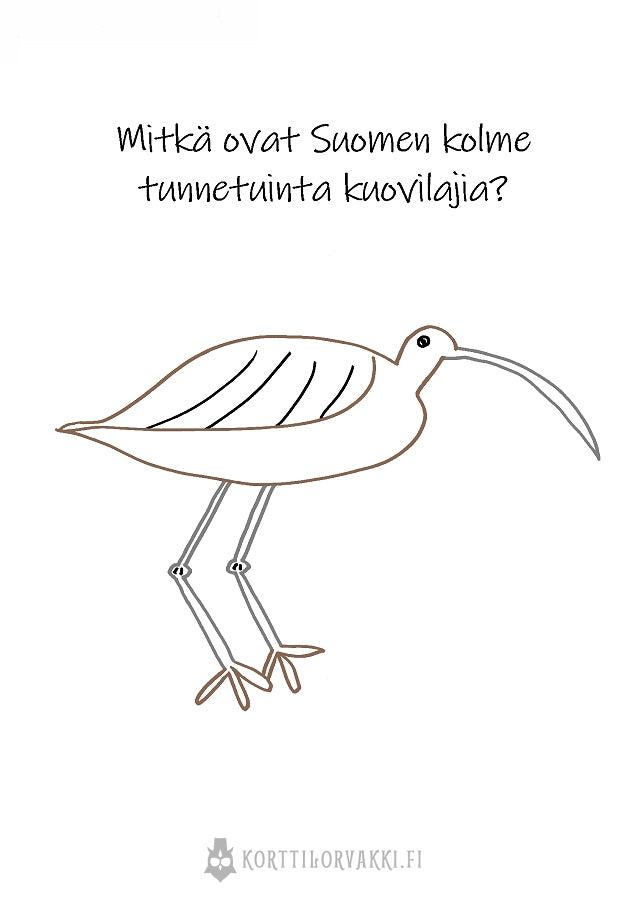 kuovi