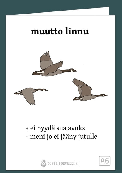 muutto linnu