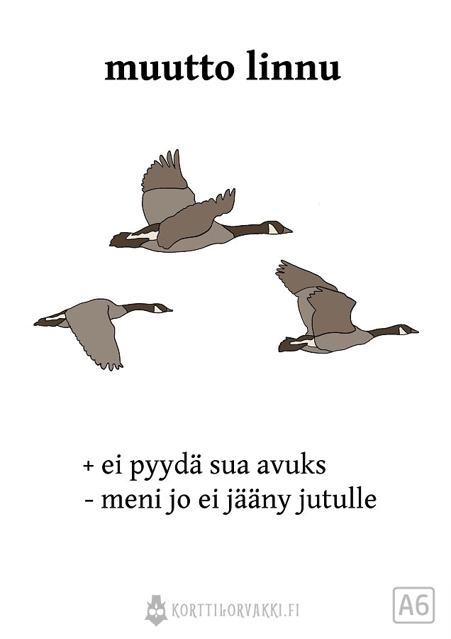 muutto linnu