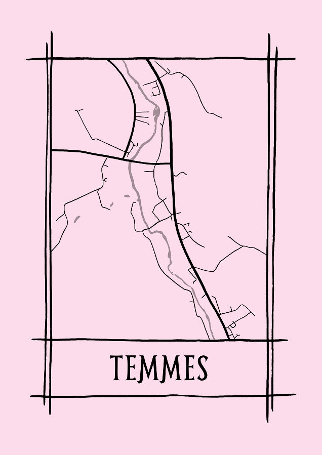 Temmes - Mistä kaikki alkoi